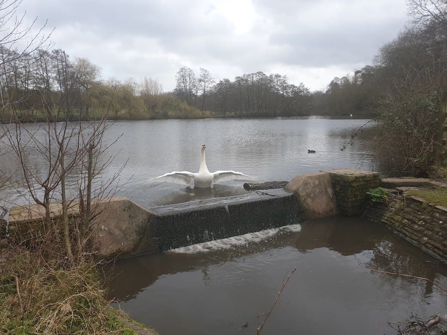 Elmdon Park