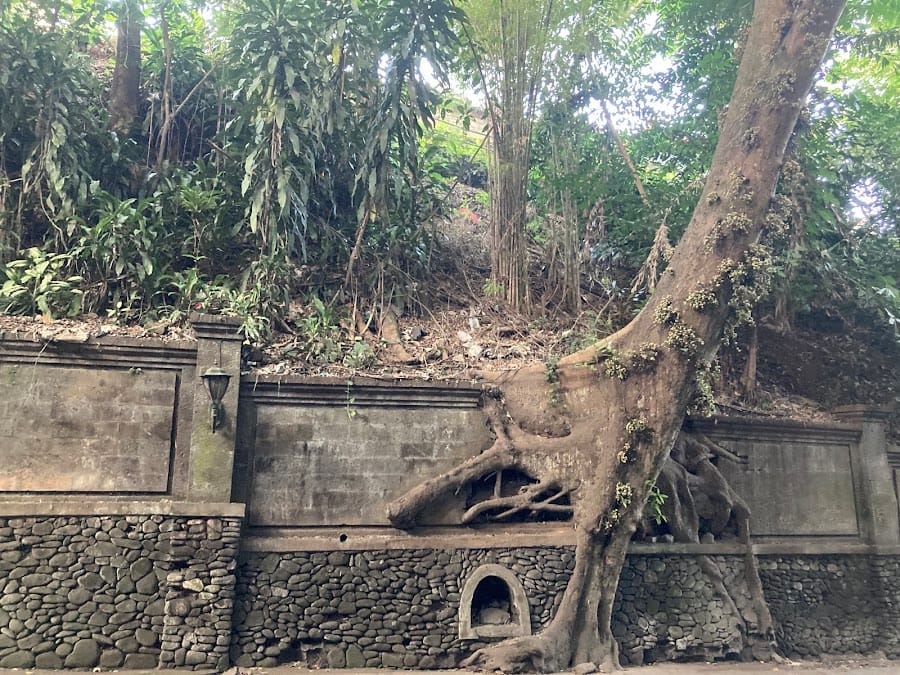 Green Tunnel - Ubud Main Street
