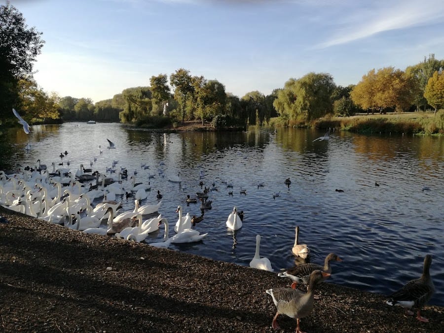 Harrow Lodge Park