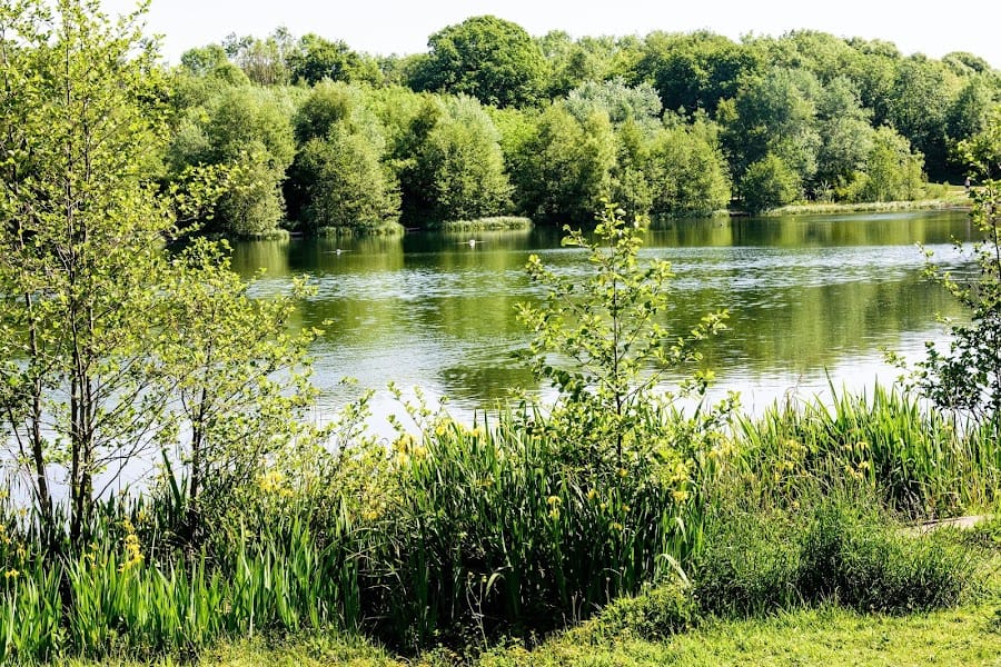 Holmebrook Valley Park