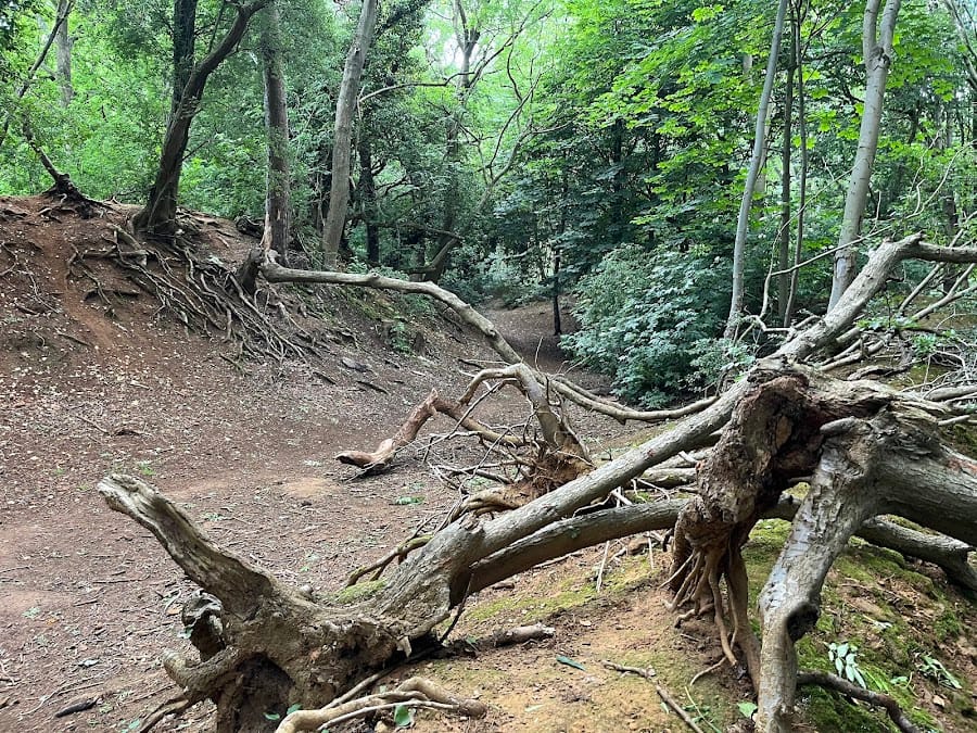 Hunsbury Hill