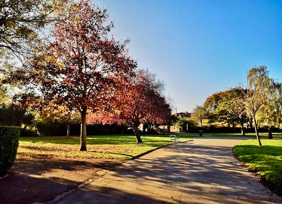 Hylands Park