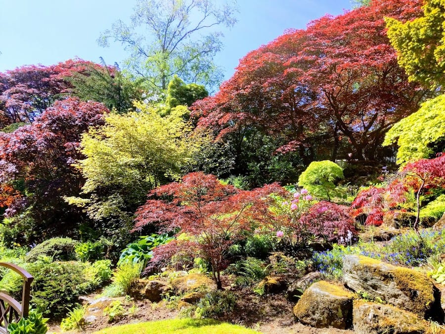 Johnston Gardens