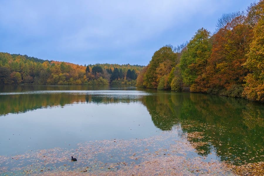 Linacre Reservoirs