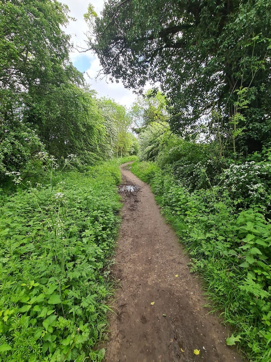 Maun Valley Park