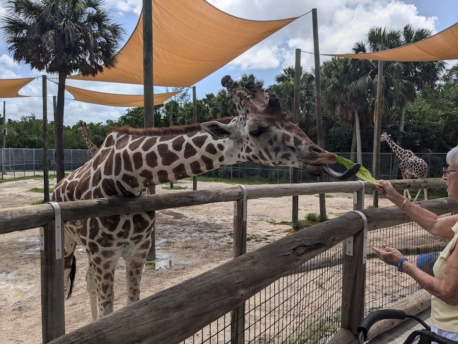 Naples Zoo at Caribbean Gardens