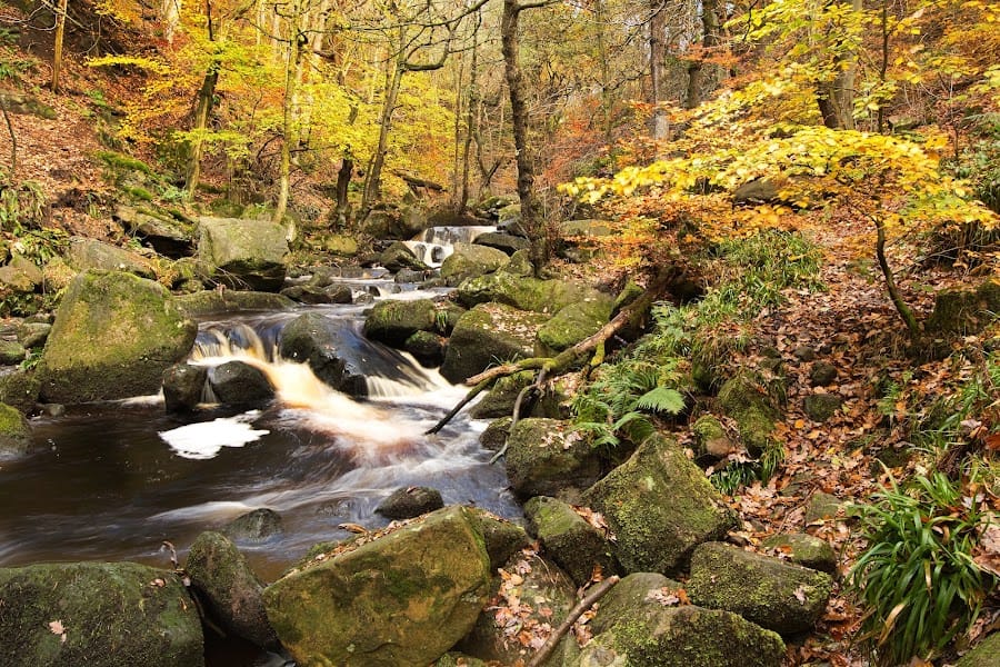 National Trust Padley Gorge