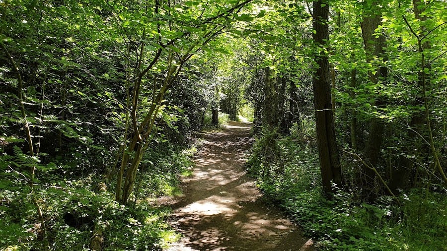 National Trust - Petts Wood and Hawkwood