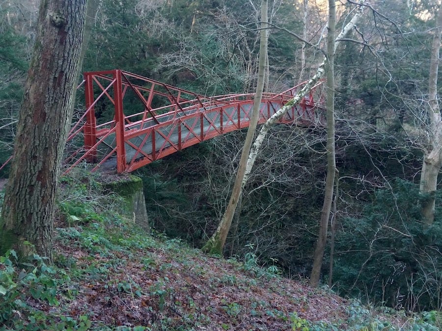 Natural England - Castle Eden Dene NNR