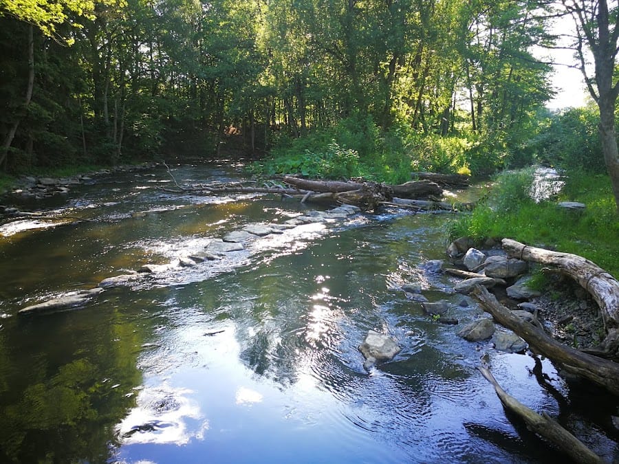 Naturschutzgebiet Möhnetal