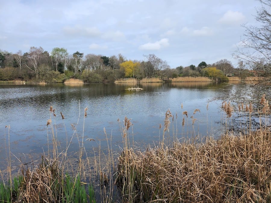 Pensthorpe