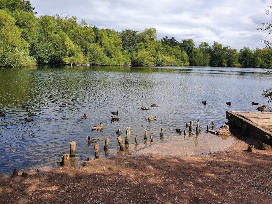 Plantsbrook Local Nature Reserve