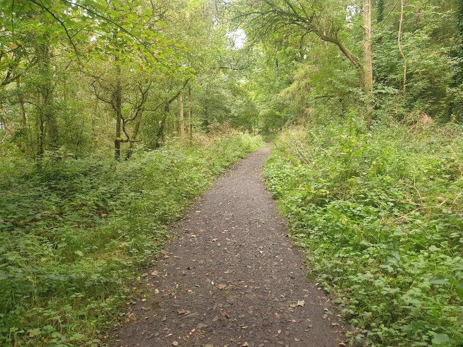 Rea's Wood