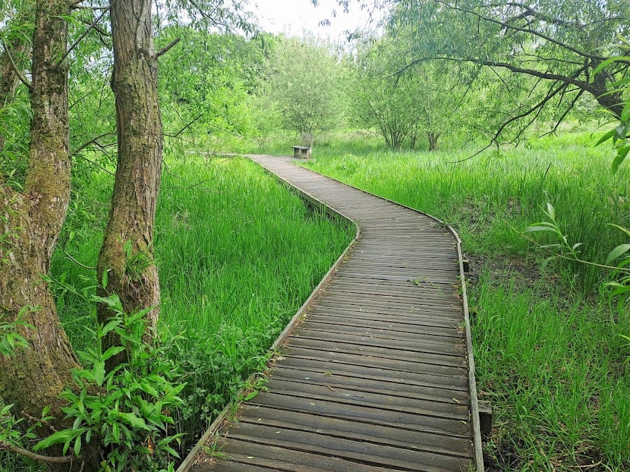 Riverside Park Nature Reserve