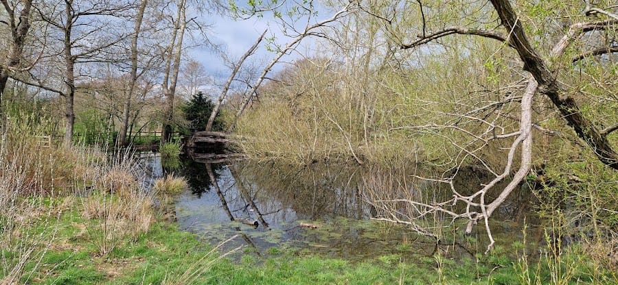 Round Pond