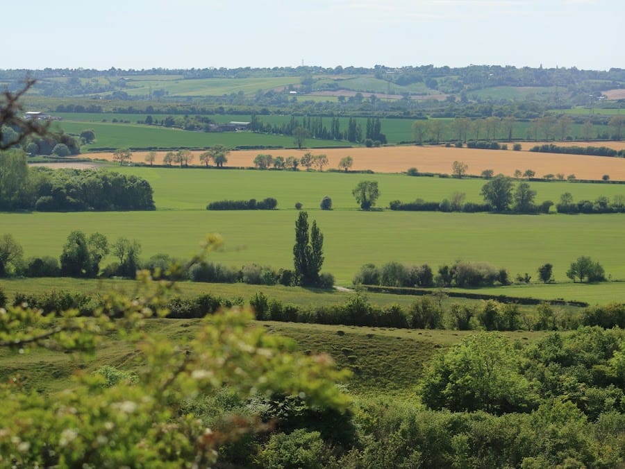 Sharpenhoe Clappers