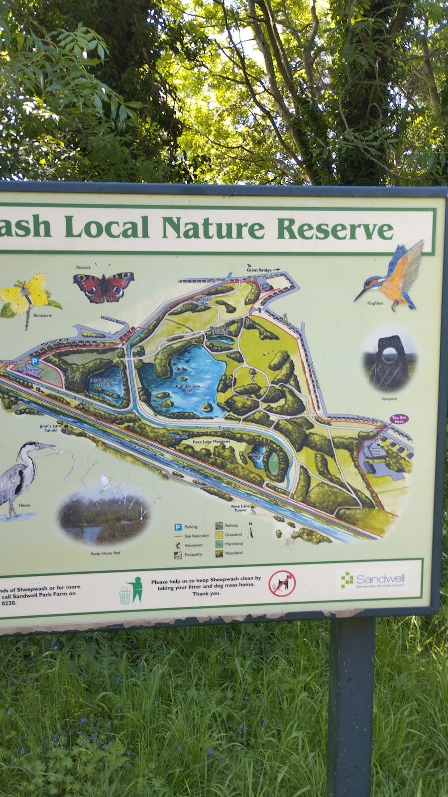 Sheepwash Nature Reserve
