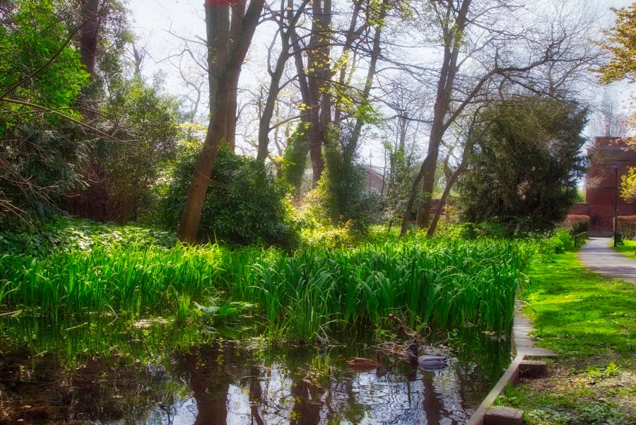 Sutton Ecology Centre Grounds