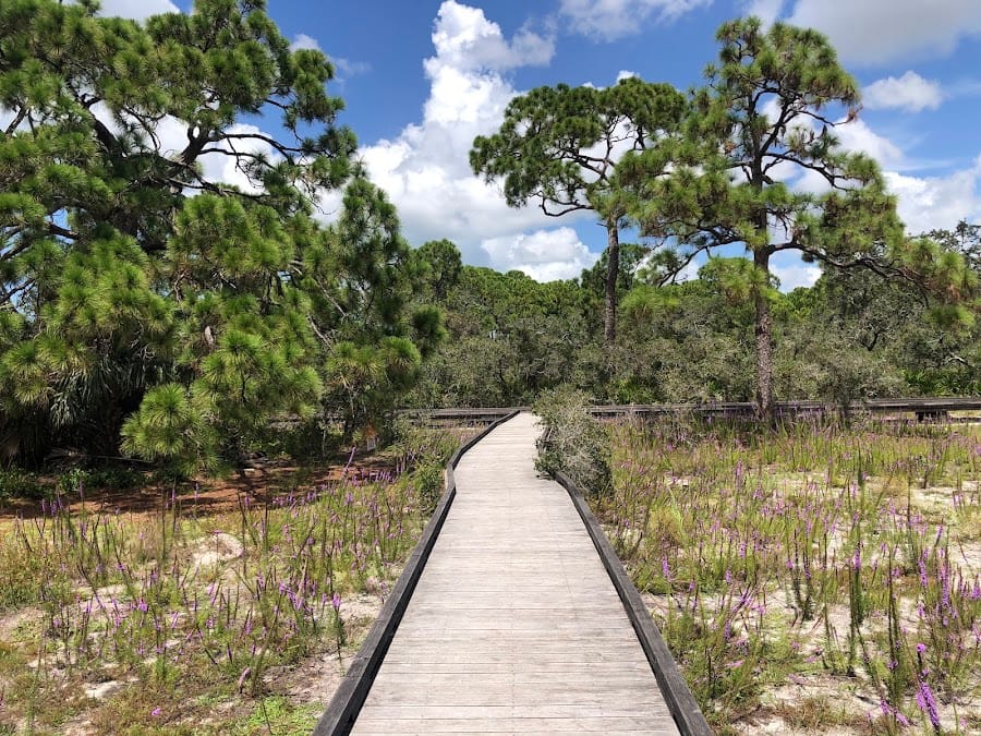 The Naples Preserve