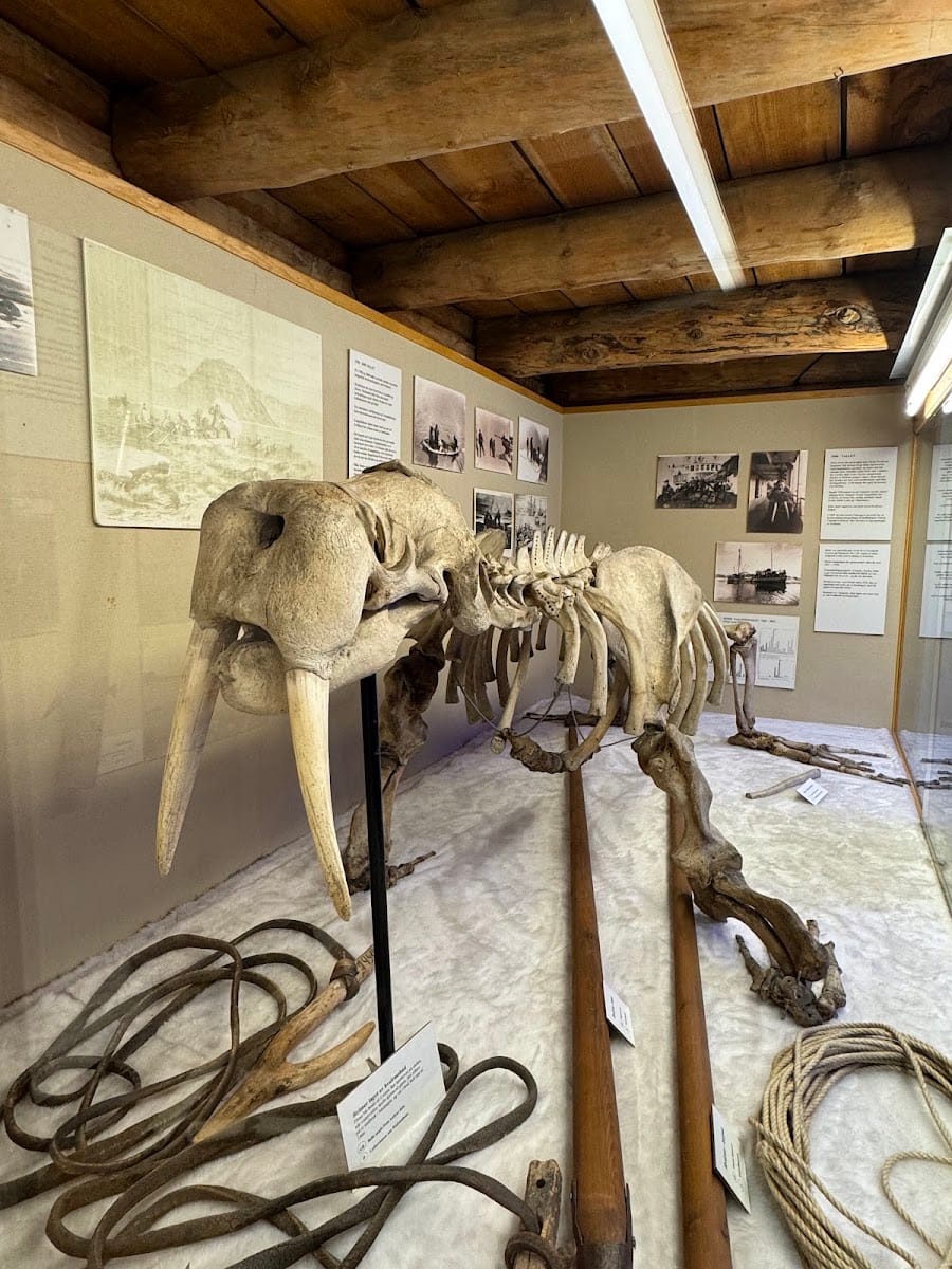 The Polar Museum