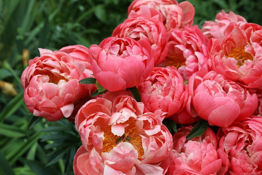 The Savill Garden