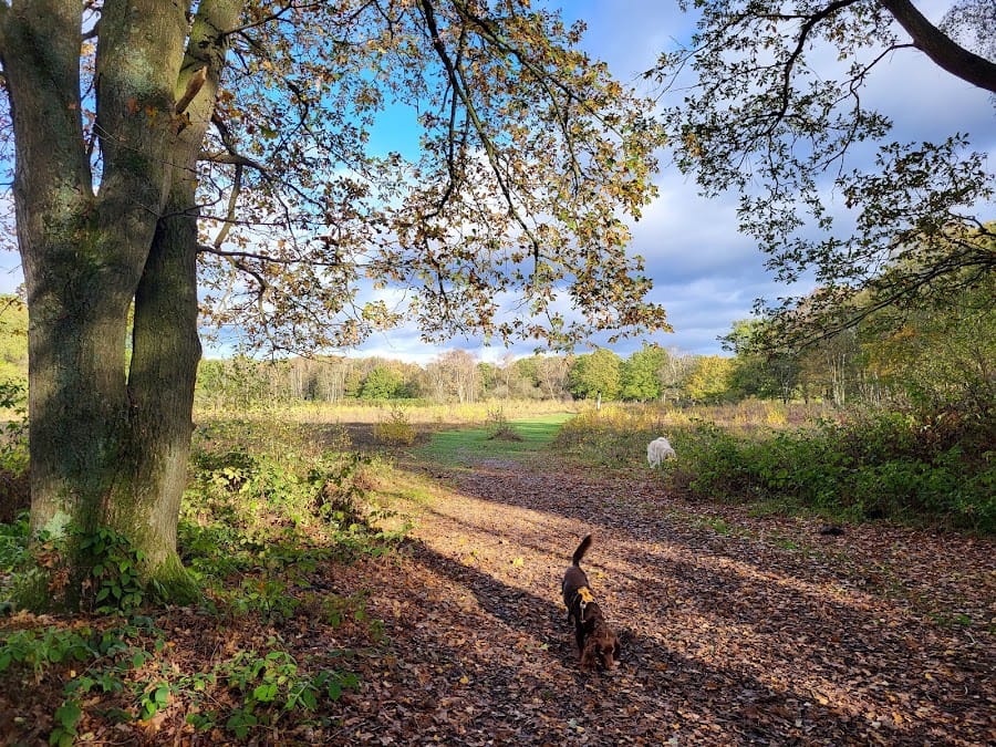 Tiptree Heath
