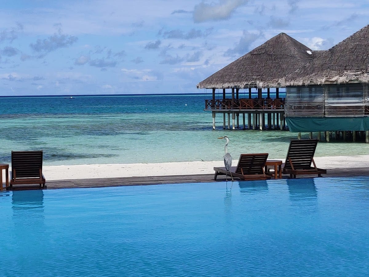 Medhufushi Island Resort photo 4