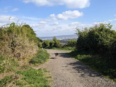 Family Days Out in County Antrim (2026 Guide) — photo