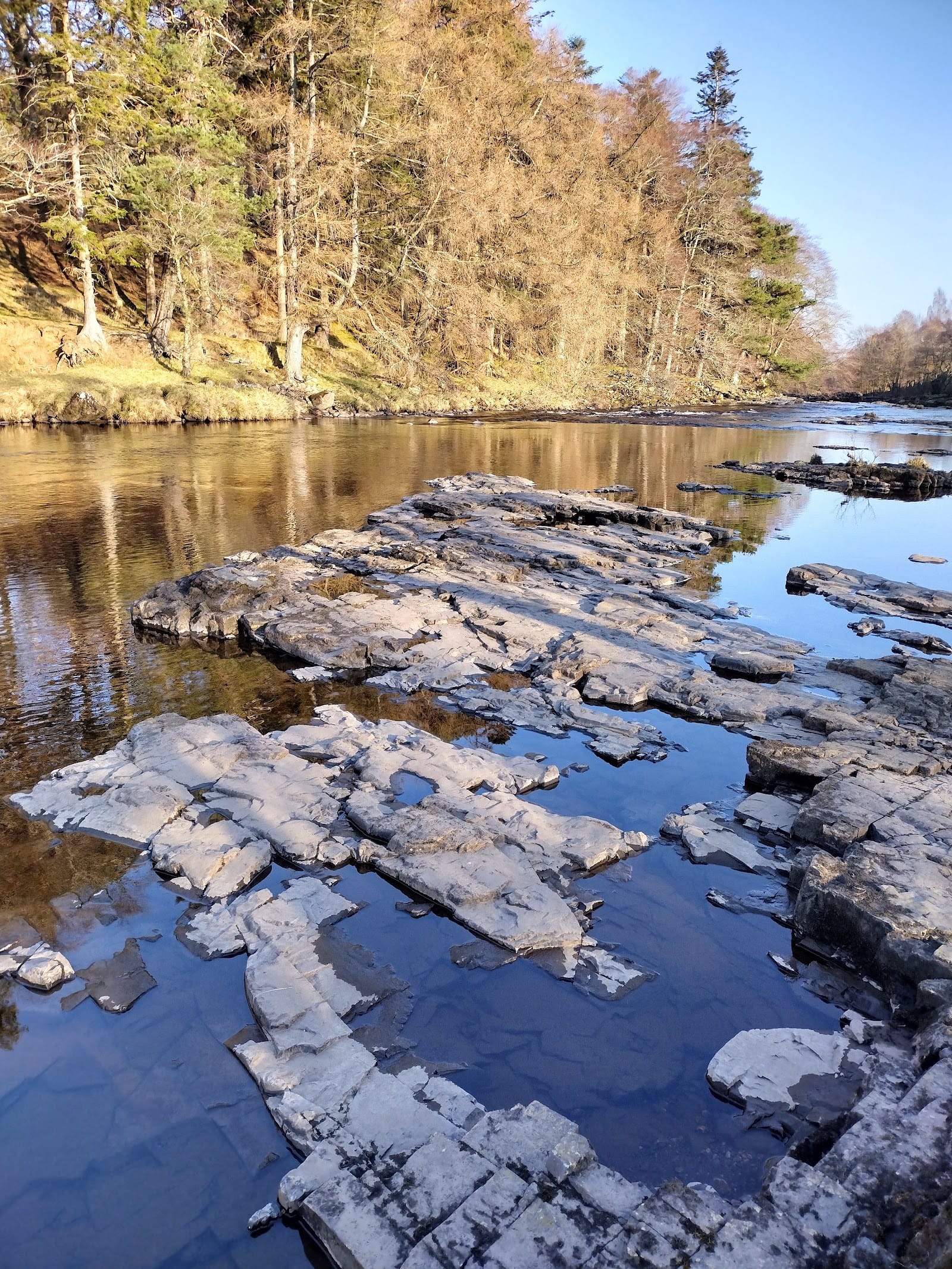 Best Days Out With Kids in County Durham (2026) — photo