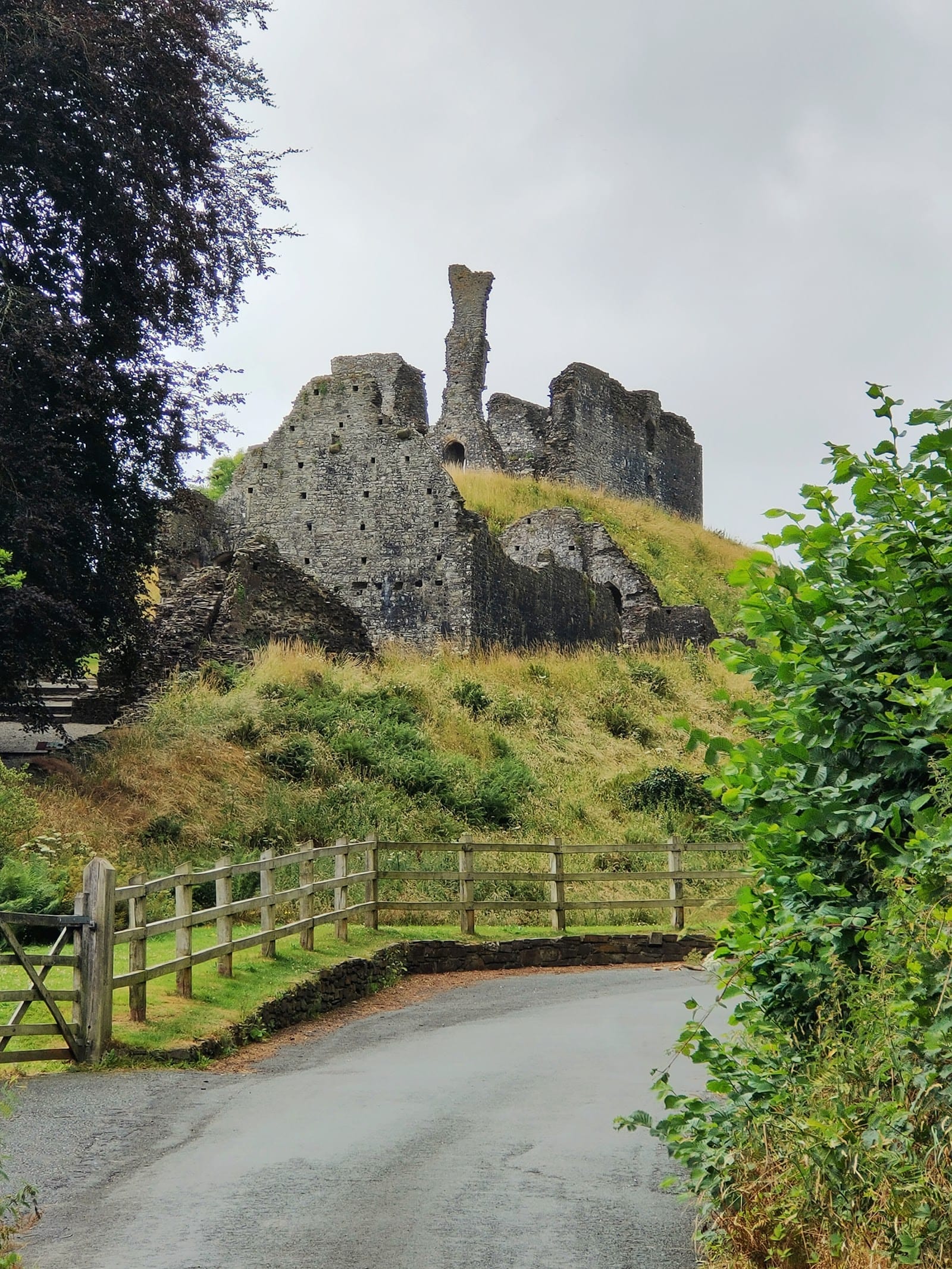 Best Family Days Out in Devon (2026 Guide) — photo
