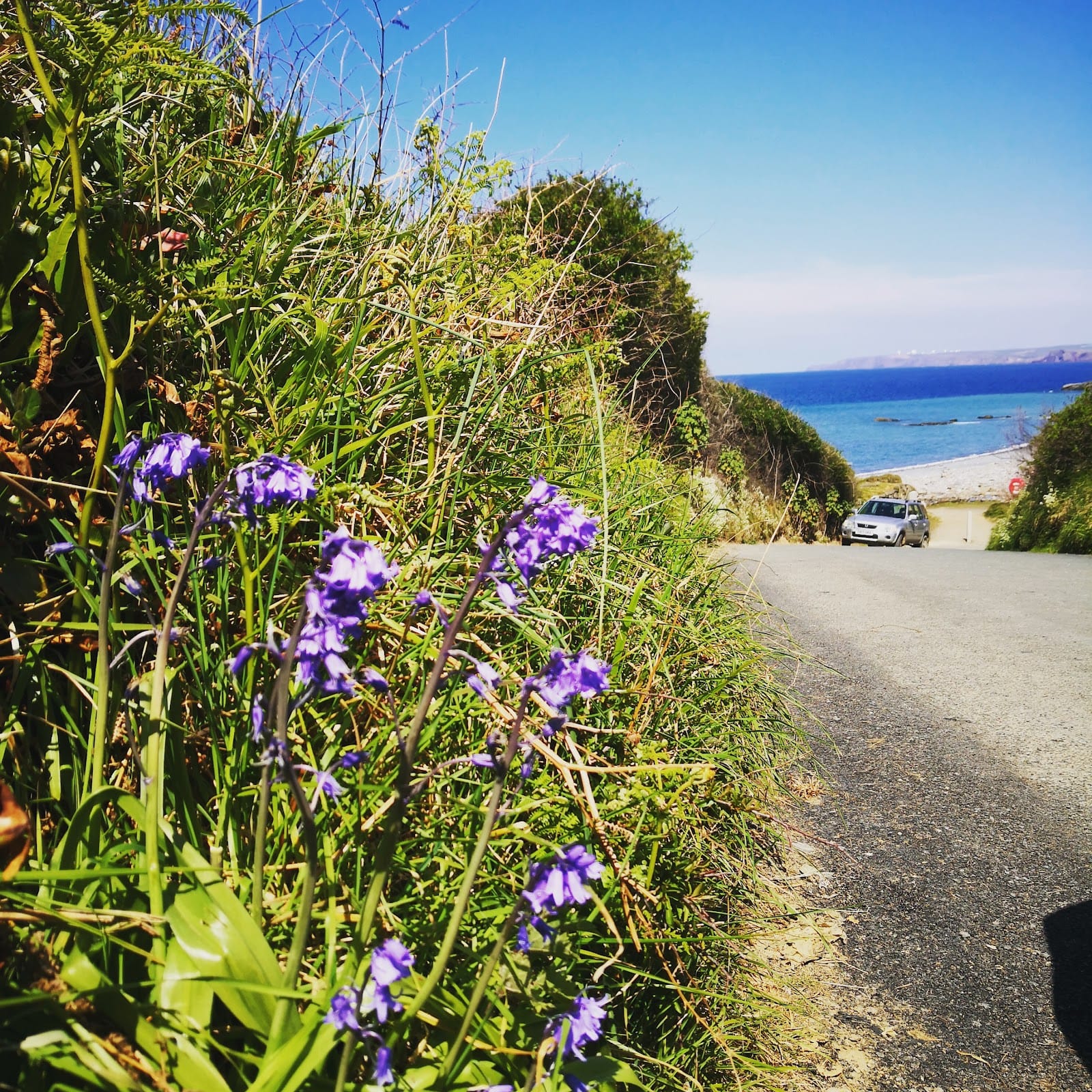 Best Family Days Out in Devon (2026 Guide) — photo