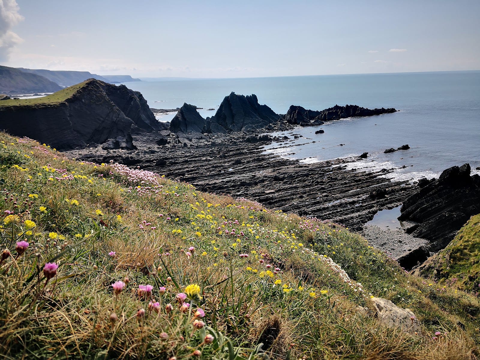 Best Family Days Out in Devon (2026 Guide) — photo