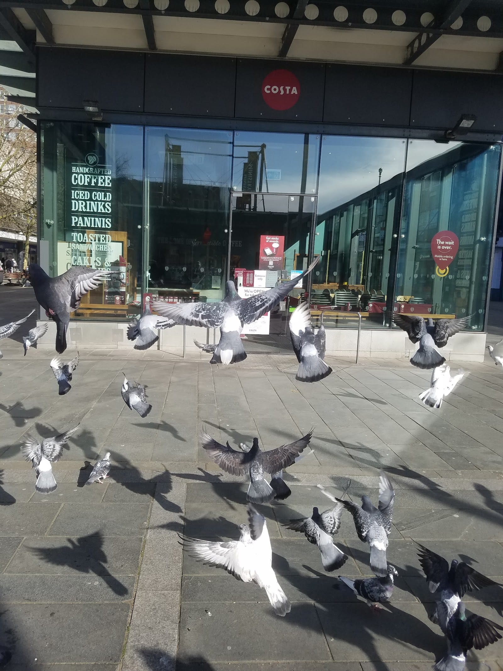 Best Days Out With Kids in Essex (2026) — photo