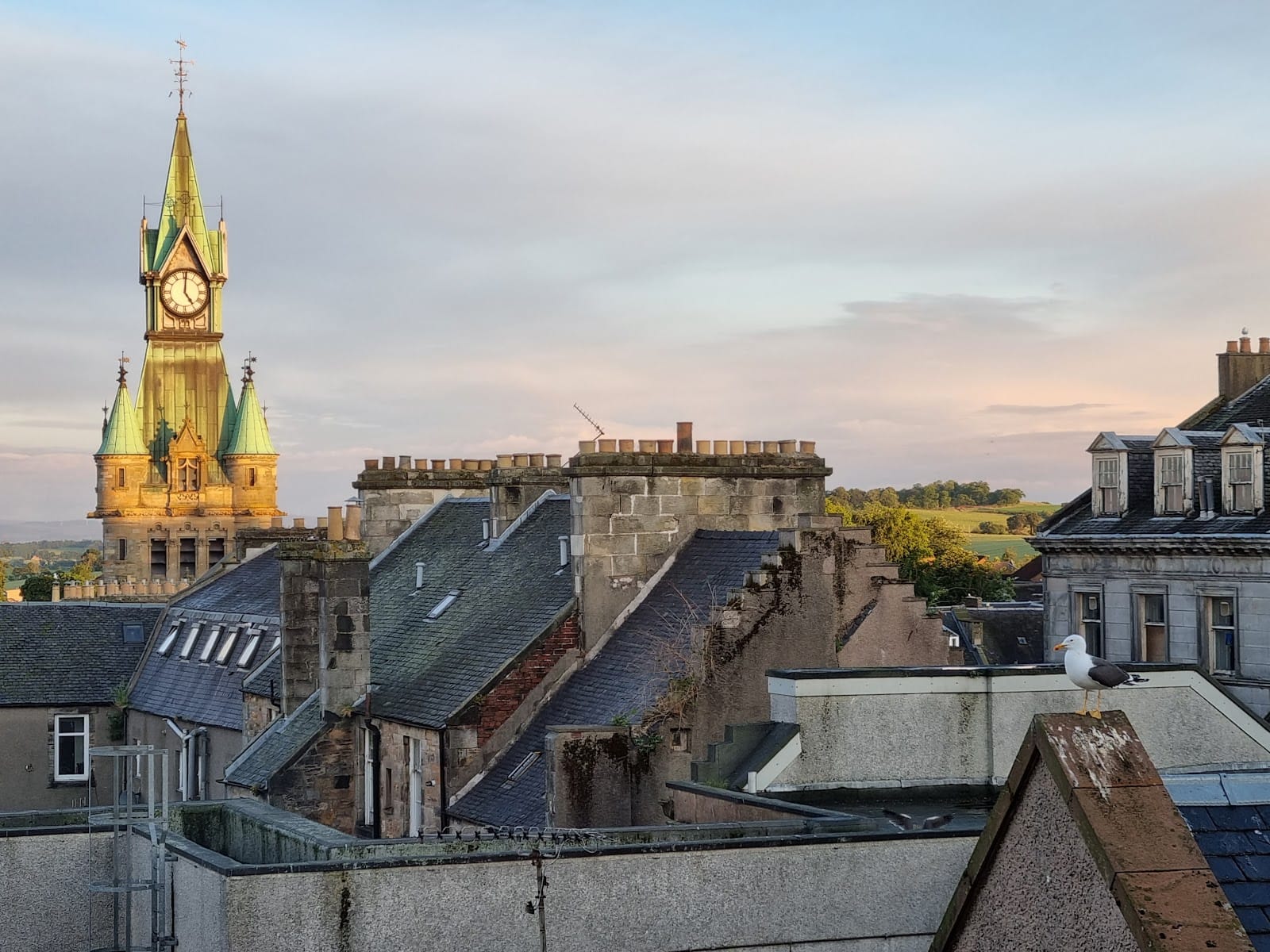 Best Days Out With Kids in Fife (2026) — photo