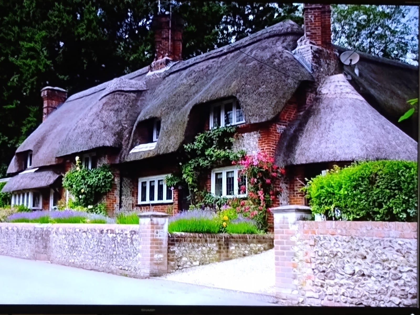 Best Family Days Out in Hampshire (2026 Guide) — photo