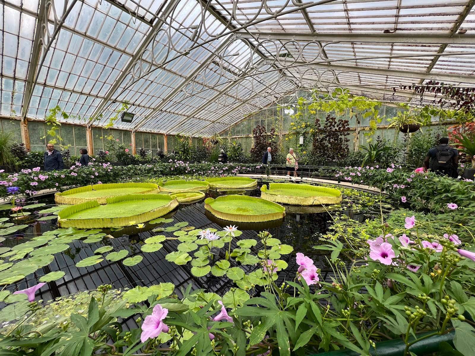 Kew Gardens Tickets: What to Know Before You Visit — photo