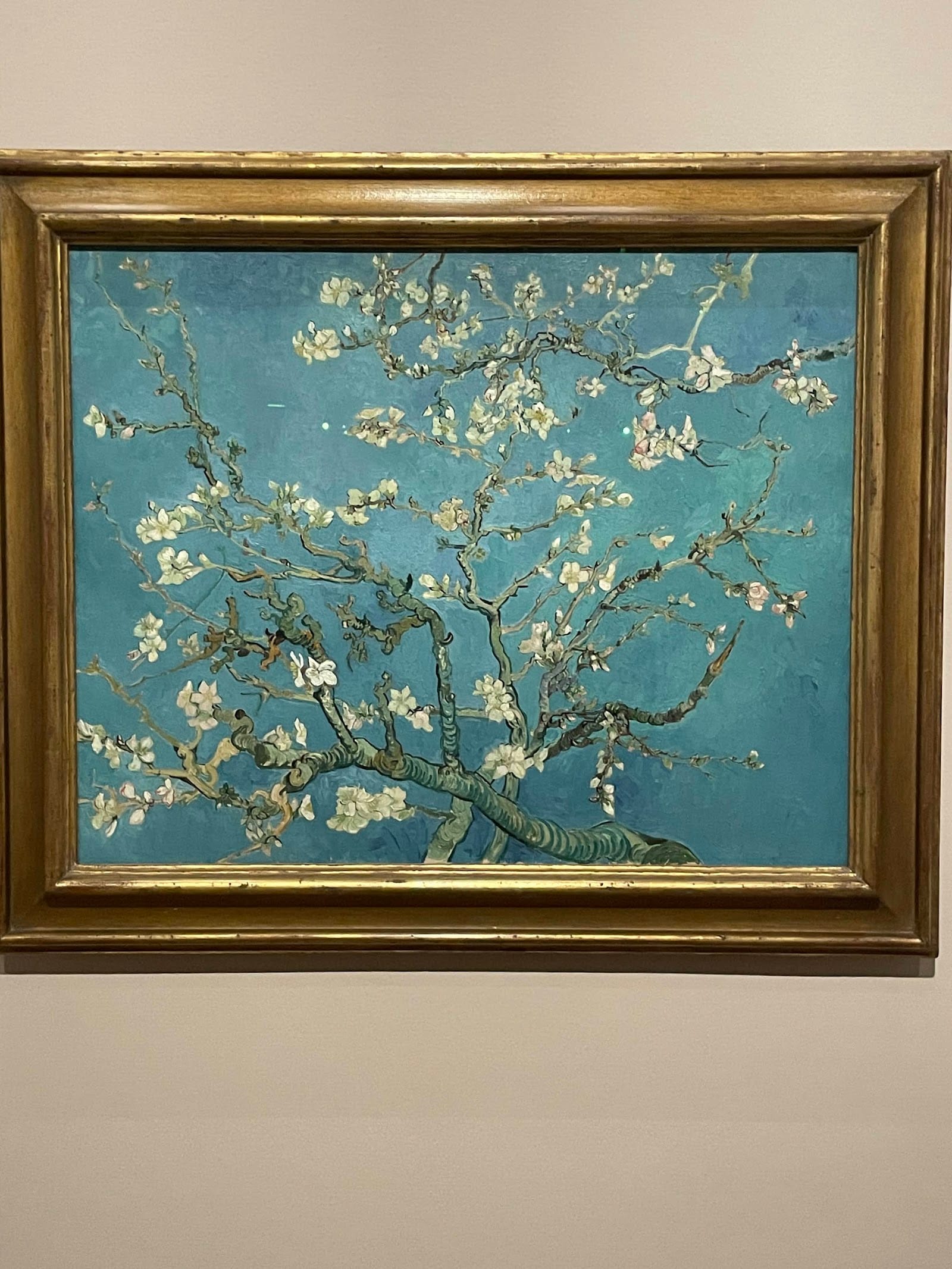 Van Gogh Museum Amsterdam: Tickets & What to Know — photo