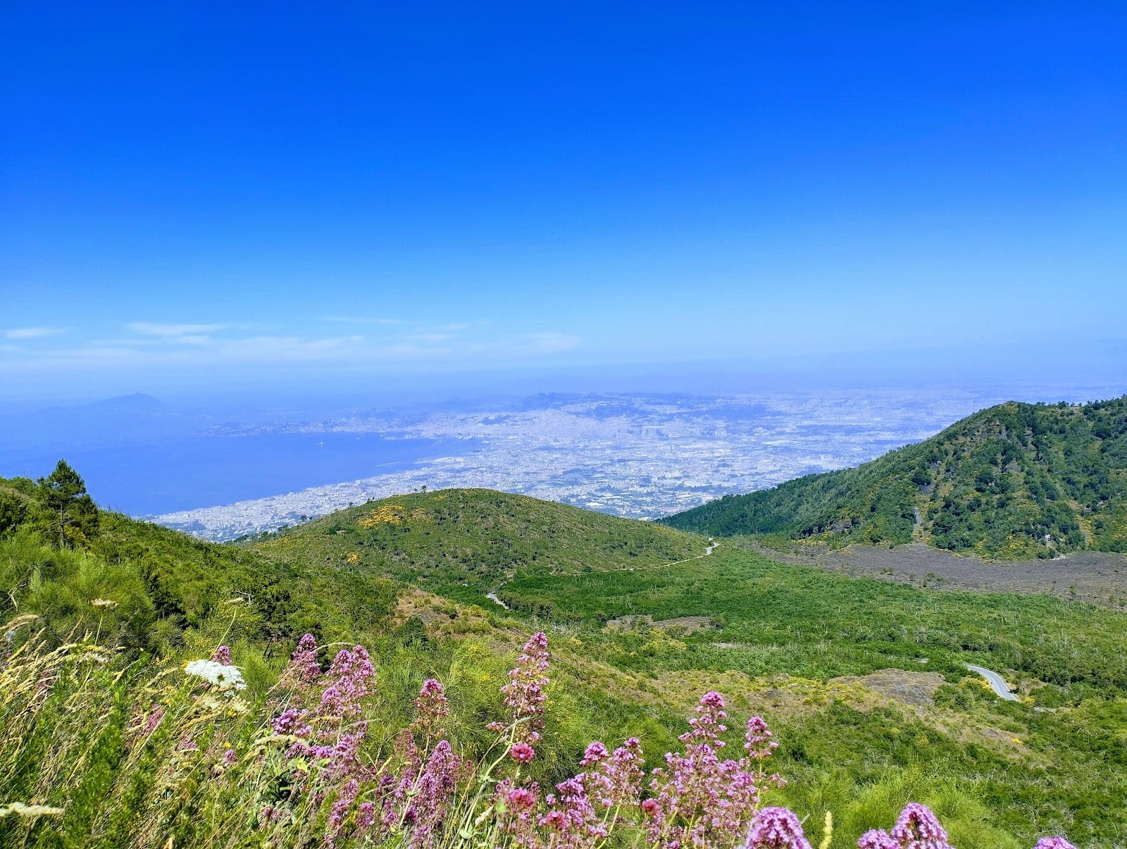 Mount Vesuvius Crater Trail: Tickets & What to Know — photo