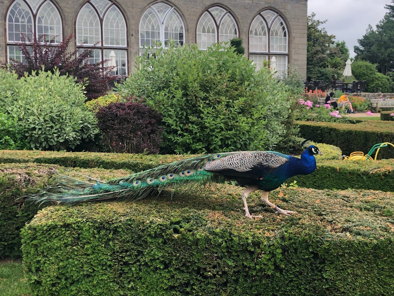 Warwick Castle Tickets: What to Know Before You Go — photo