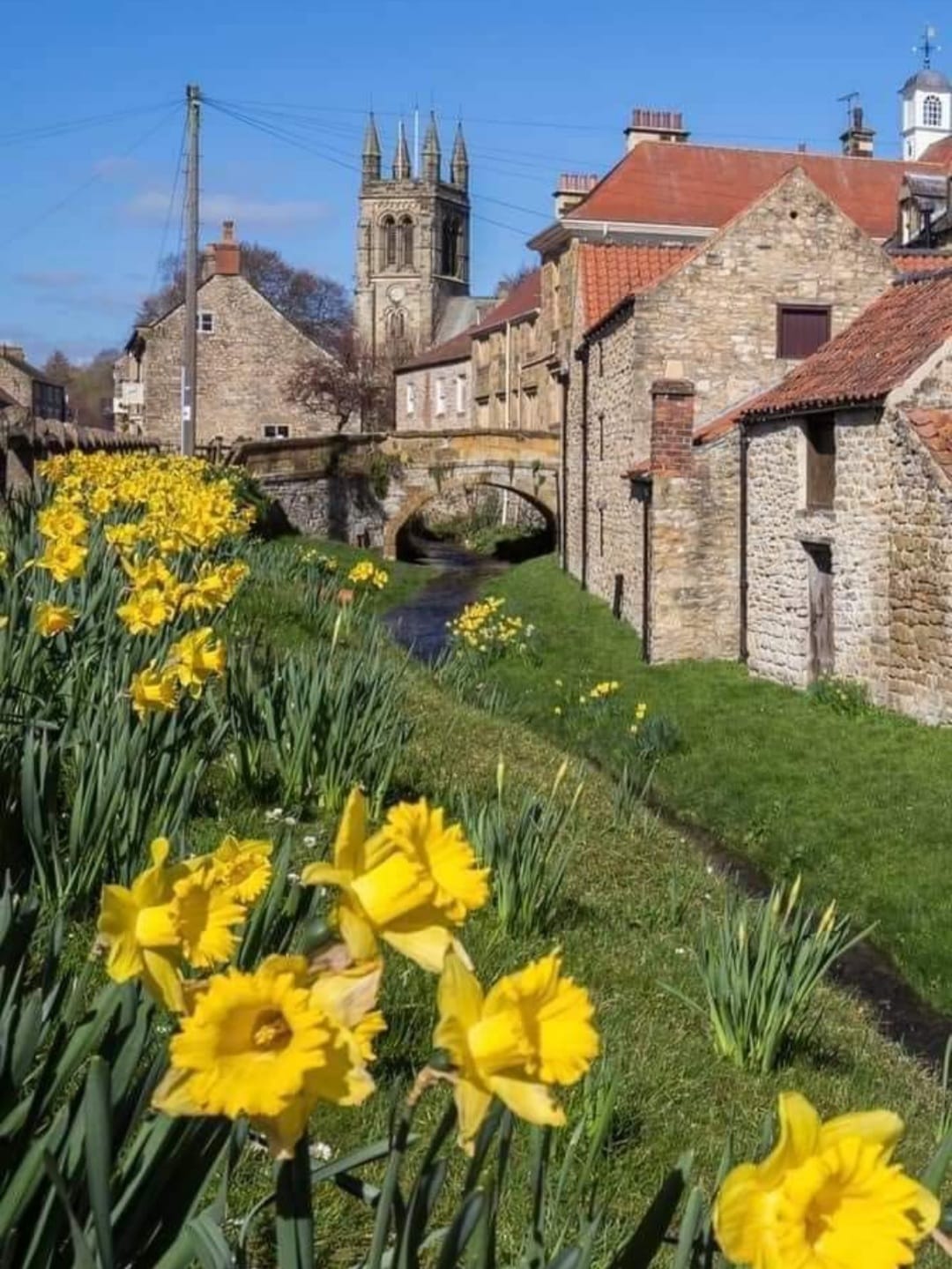 Best Days Out With Kids in Yorkshire (2026) — photo