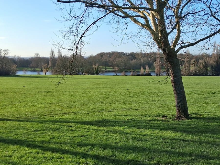 Bexley’s Charter Oak