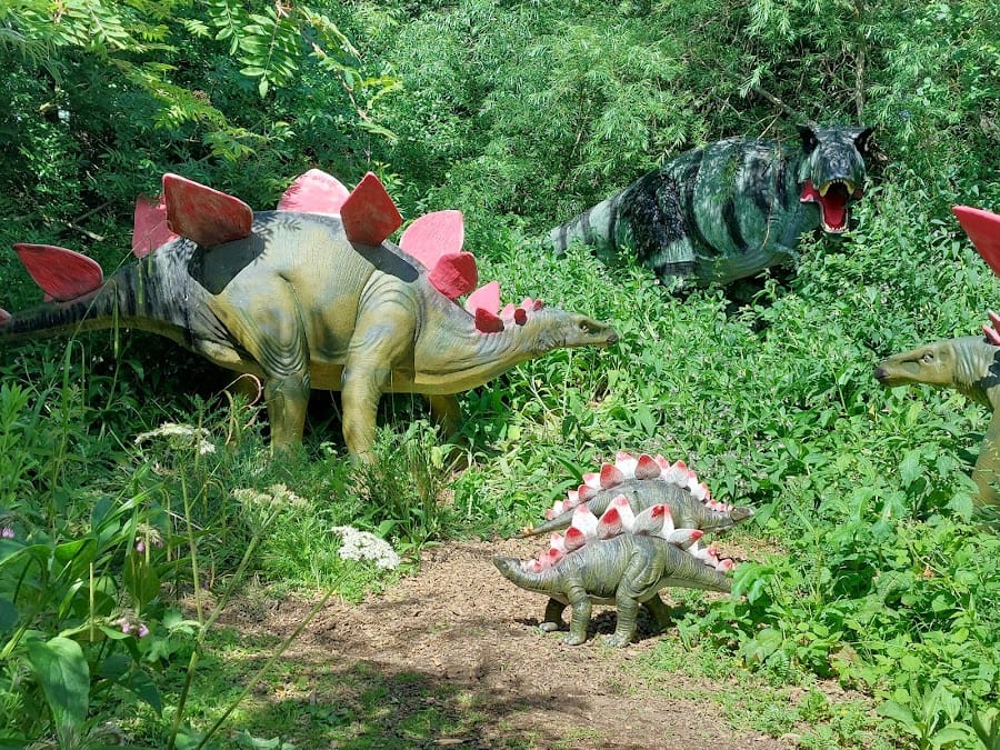 Birdland Park & Gardens