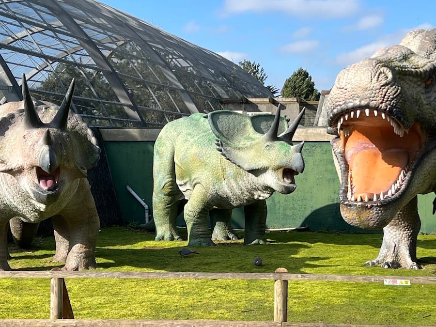Blackpool Zoo
