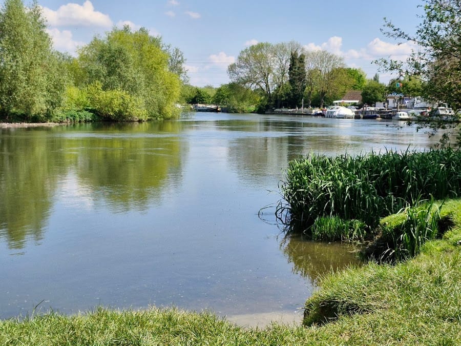 Chertsey Meads