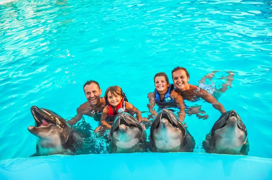 Dolphin World Egypt