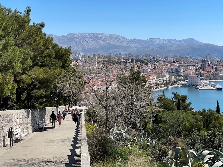 Forest Park Marjan