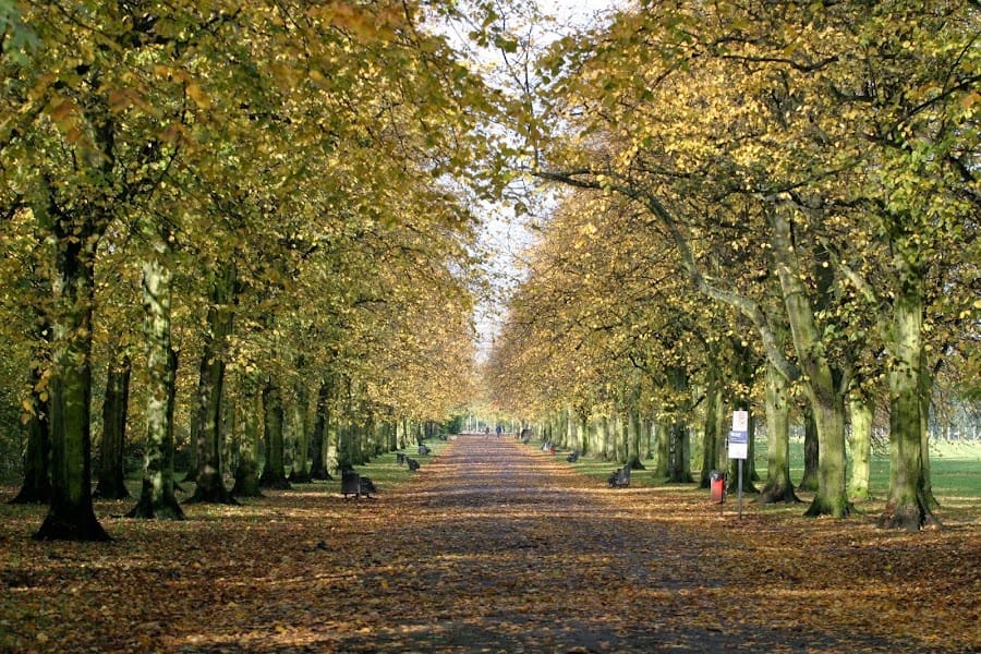 Haslam Park