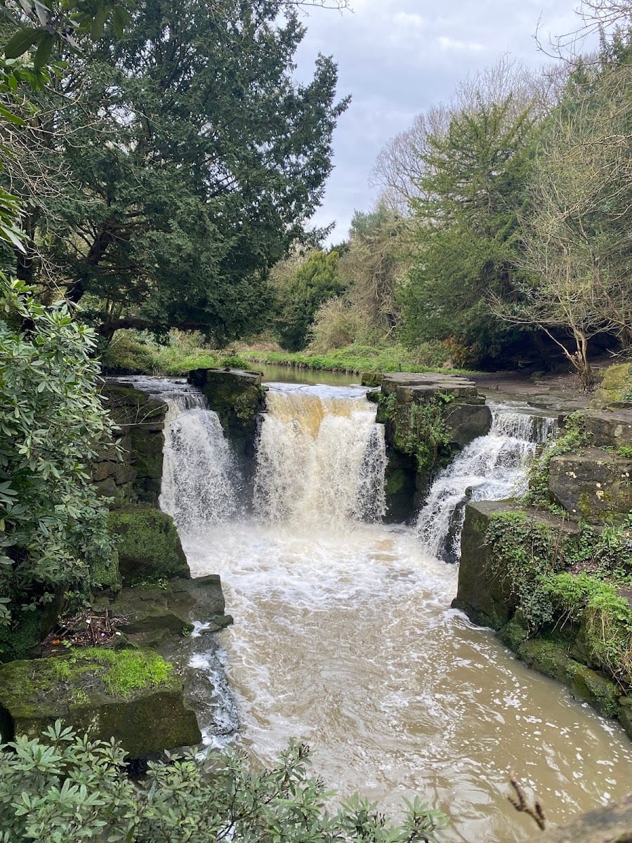 Jesmond Dene Falls