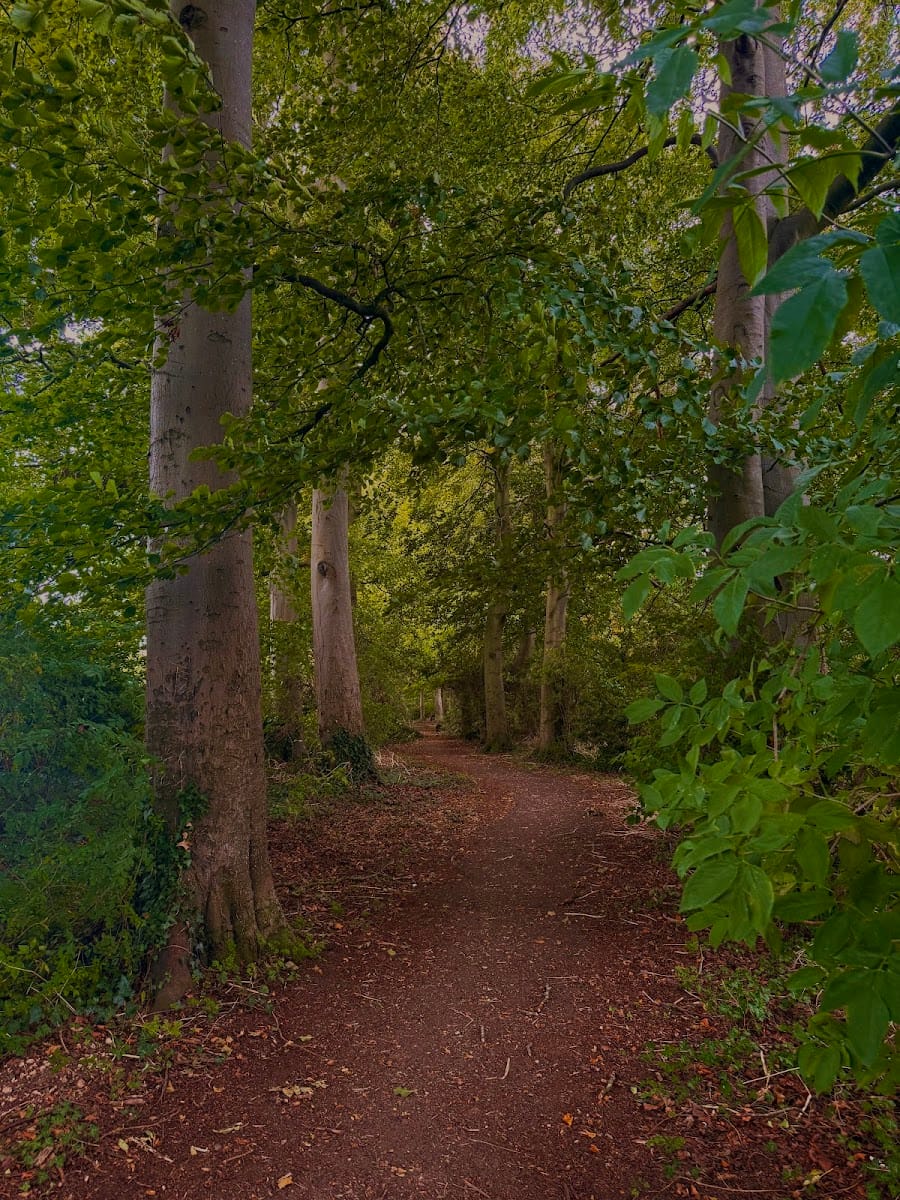 Lancot Meadow