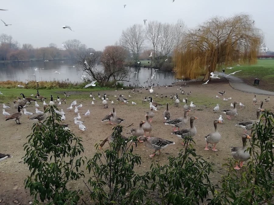 Mayesbrook Park